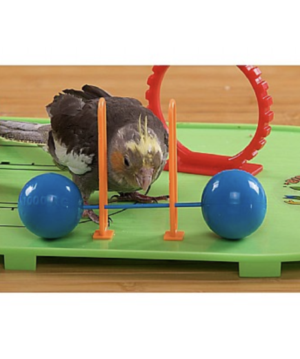 Birdie Basketball Gym - Activity Centre for Smaller Parrots